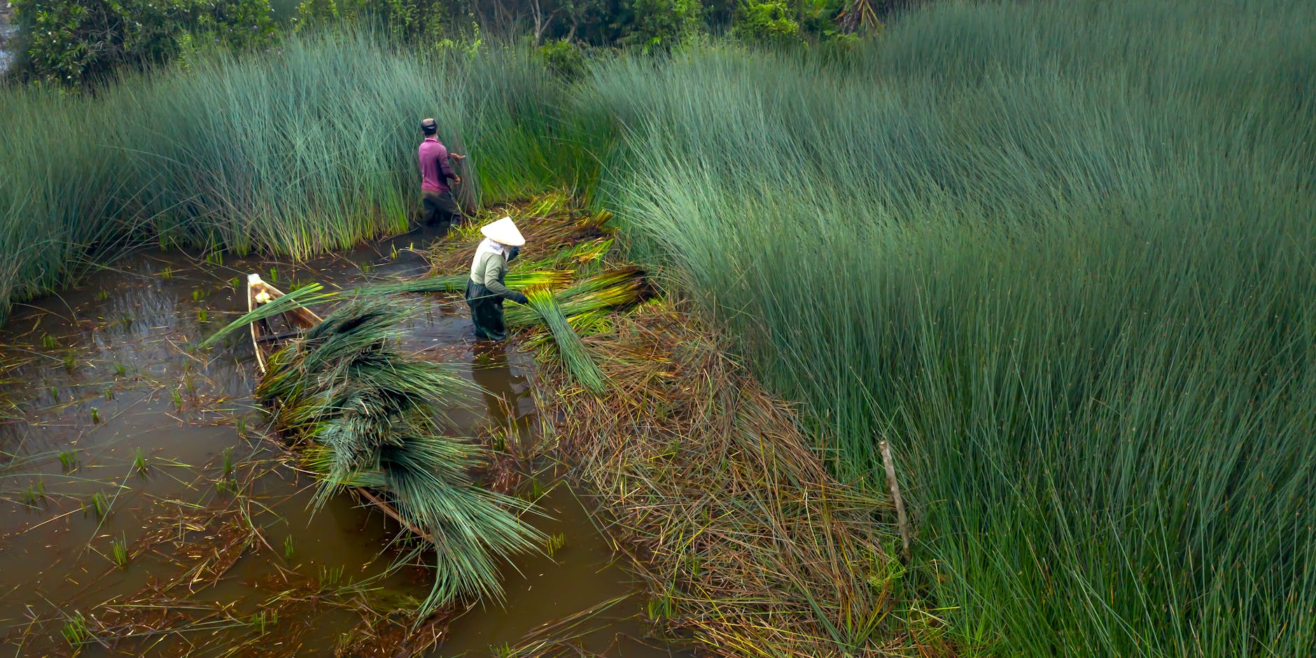 Innovative Water Solutions by SmartWaterTech: Revolutionizing Sustainable Water Management in SL